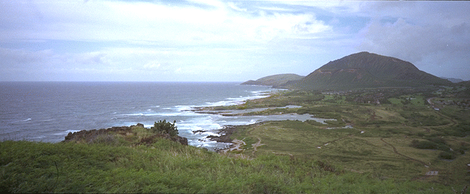 view5.gif (130733 bytes)
